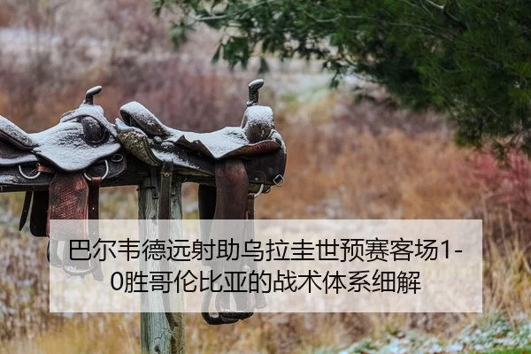 巴尔韦德远射助乌拉圭世预赛客场1-0胜哥伦比亚的战术体系细解